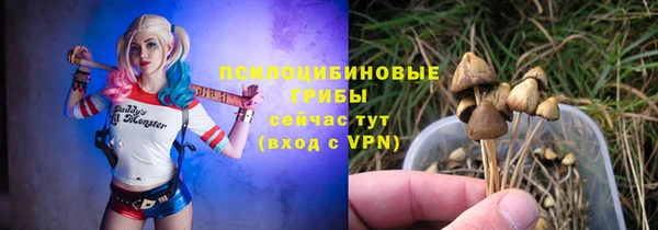 дурь Иннополис