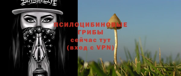 бутират Инсар