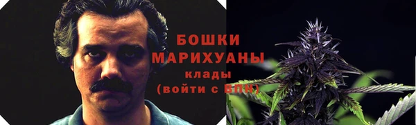 бутират Инсар